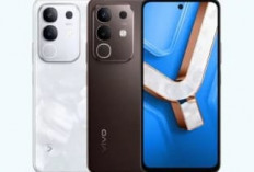 Rahasia di Balik Vivo Y29: HP Rp2 Jutaan yang Bikin Kamu Lupa Ganti iPhone!