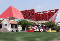 Kenal Satwa Lebih Dekat! Wisata Edukasi Favorit di Batu yang Wajib Dikunjungi