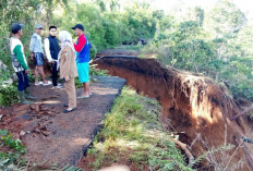 Tiga Desa di Kecamatan Dempo Selatan Terisolir Akibat Longsor