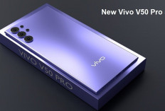 Bingung Pilih Vivo V50? 5 HP Ini Punya Spek Lebih Mewah, Harga Tetap Ramah!