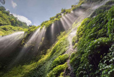 Keajaiban Alam Air Terjun Madakaripura: Pesona Eterna di Lembah Jawa Timur