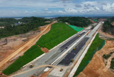 Pembangunan Proyek Jalan Tol Dihentikan Sementara, Pengusaha Menanggapi Kebijakan Pemerintah