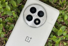 Update OnePlus B30P01 Bikin Private Safe Jauh Lebih Canggih, Pengguna OxygenOS Akhirnya Lega