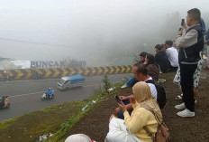 Puncak Pass Diserbu Wisatawan! Macet Parah, Pengunjung Rela Tempuh 5 Jam