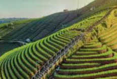 Liburan Seru ke Majalengka: 3 Destinasi Wisata Alam Viral yang Wajib Dikunjungi