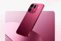 Oppo dan Google Bersatu Hadirkan 