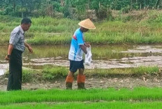 Bekali Warga Binaan Keterampilan Bertani