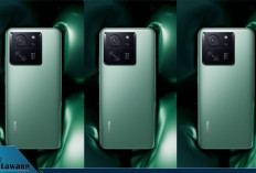 Harga Terbaru Xiaomi 13T Mei 2025: Tampil Premium dengan Layar 144Hz dan Kamera Leica