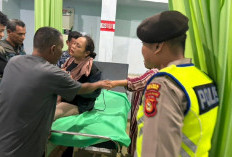 Pemudik Asal Jakarta Mengalami Kecelakaan Tunggal di Pos Pengamanan Terawas: Polres Musi Rawas Sigap Evakuasi 