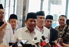 Presiden Prabowo Tegur Keras Direksi BUMN: Malas dan Koruptif, Saya Minta Ganti!