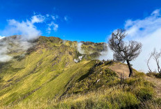 Merbabu Dibuka Lagi! Jalur Thekelan dan Wekas Siap Sambut Pendaki Maret 2025