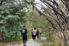 Rekomendasi 4 Tempat Trekking di Bogor yang Cocok untuk Keluarga, Nomor 3 Paling Instagramable!