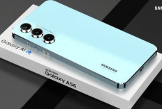 Samsung Galaxy A56: Tetap Laku Meski Bezel Tebal Jadi Sorotan