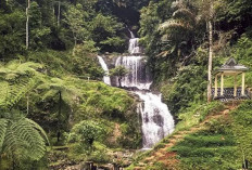 Surga Tersembunyi! Air Terjun 3 Tingkat Ini Punya Kolam Alami dan Tiket Cuma Rp10.000!