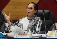 Guru Honorer Rawan Diberhentikan, Komisi X DPR Desak Pemerintah Segera Terbitkan Regulasi Perlindungan