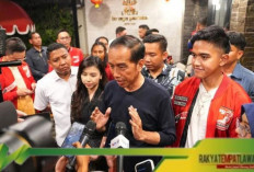 Polemik Pencalonan Kaesang Pangarep di Pilkada 2024: Sudarsono Saidi Sarankan Jokowi Keluarkan Perppu