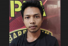 Sopir Truk Kayu Log Garap IRT, Lalu Ditinggalkan 