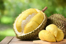 Durian Ternyata Bermanfaat untuk Kecantikan, Ini Penjelasannya