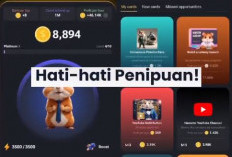 Aplikasi Hamster Kombat, Game Penghasil Uang Viral 2024!