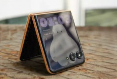 Motorola Razr+ (2025) Turun Harga, Diskon hingga $250 Bikin Menggiurkan