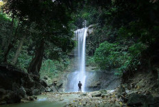 Menikmati Destinasi Wisata Populer di Purwodadi, Jawa Tengah yang Wajib Dikunjungi pada Tahun 2025
