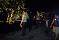 Avanza Bermuatan 12 Karung Cabai Terjun ke Jurang 15 Meter 