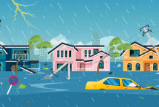 Cegah Banjir Dadakan Dengan Jaga Lingkungan