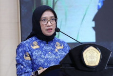 CPNS 2025 Buka 400 Ribu Formasi! Simak Cara Daftar dan Bikin Akun di SSCASN BKN