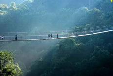 Ini 5 Destinasi Wisata Alam dan Keluarga yang Nyaman