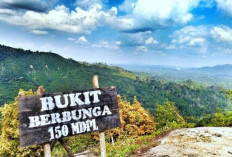 5 Rekomendasi Wisata Menarik di Indragiri Hilir, Riau