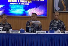 Sumsel dan Jambi Jadi Hub Utama Penyelundupan Benih Lobster