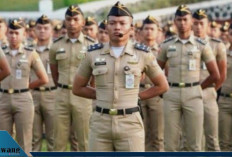 IPDN Buka 1.061 Formasi! Simak Jadwal, Syarat, dan Cara Daftar Sekolah Kedinasan 2025