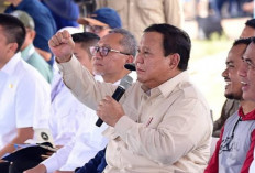 Prabowo Restui Ekspor Beras: Bukti Indonesia Siap Bantu Dunia