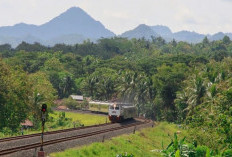 Pemandangan Surga dari Jendela Kereta! Ternyata Ini yang Bikin Kulon Progo Jadi Favorit Wisatawan!