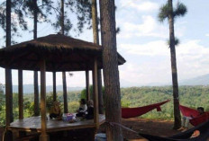 Wana Wisata Pokland, Surga Tersembunyi di Cianjur yang Tawarkan Sejuknya Hutan Pinus dan Wahana Seru