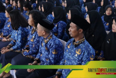 Kebijakan Baru: Kontrak PPPK Diperpanjang hingga Pensiun, Gaji Naik 8% untuk Guru di Seluruh Indonesia