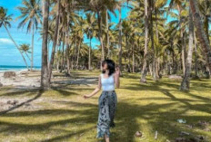 Pantai Mandiri, Destinasi Pariwisata yang Menjanjikan di Lampung Barat