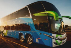 Duduk dan Tidur Nyaman, Ini 7 PO Bus Seperti Hotel Bintang 5! Yuk Simak Penjelasanya