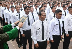 PPPK Paruh Waktu Berstatus ASN, tetapi Kontrak Tetap Ditentukan Evaluasi Tahunan: Ini Penjelasan Lengkapnya