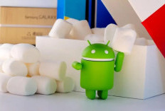 Google Minta Pengguna Android Segera Update, Celah Keamanan Sudah Dipakai dalam Serangan Nyata