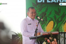 Waspada! Sumsel Siaga Darurat Asap