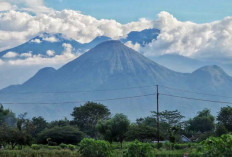 Melihat Gunung Arjuno, Keindahan, Sejarah, dan Misteri yang Memikat