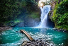 7 Rekomendasi Wisata Alam Bali yang Menakjubkan dan Wajib Dikunjungi