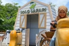 Wisata Baru di Jawa Tengah Makin Hits, Solo Safari hingga Kemuning Sky Hills Jadi Magnet Baru Wisatawan