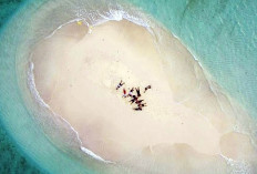 Pulau Malelo Aceh: Si baby island di aceh