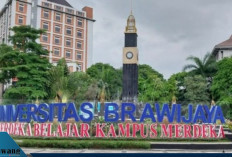 Jurusan Sepi Peminat di Universitas Brawijaya, Peluang Emas untuk SNBP 2026!