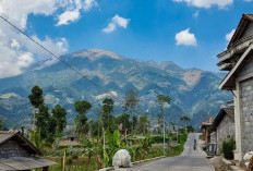 Menjelajahi Keindahan Gunung Merbabu: 4 Jalur Pendakian Resmi yang Wajib Dicoba