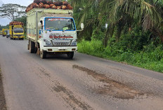 Jalan Sungai Lilin Keluang Mulai Muncul Kerusakan