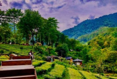 Harga Tiket Masuk Gunung Mas Puncak Bogor, Tempat Wisata Favorit Saat Akhir Pekan