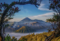 Gunung Bromo: Pemandangan Dramatis dan Kehidupan Gaib di Jantung Jawa Timur